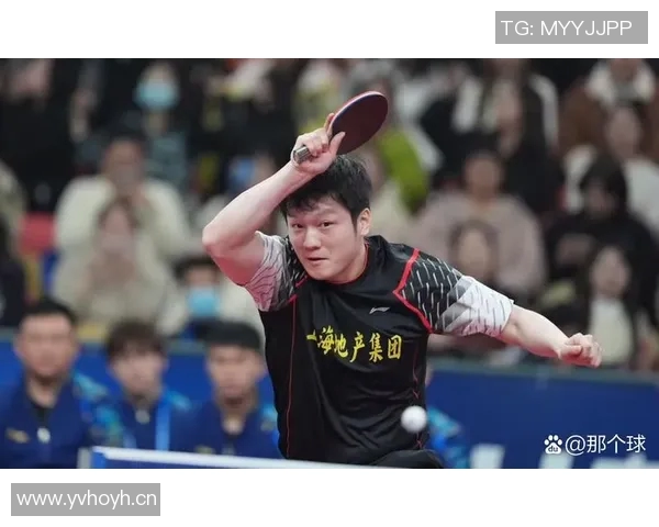 深圳乒乓球队配合变革引发热议球员默契提升助力团队战力增强